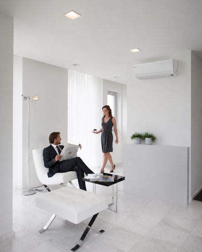 DAIKIN Ururu Sarara Biela FTXZ35N